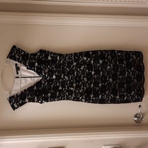 NWT, French Connection Botanical Tripp Lace Dress